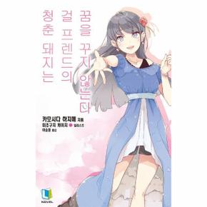 청춘 돼지는 걸 프렌드의 꿈을 꾸지 않는다 - 청춘 돼지 시리즈 14