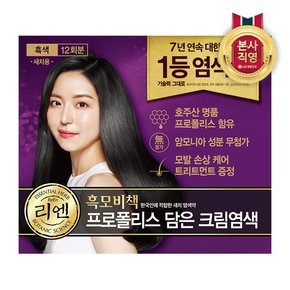 리엔 흑모비책 프로폴리스 염색약 480g 흑색 x 1개