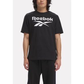 3666097 Reebok IDENTITY BIG LOGO TEE - Print T-shirt black 58062109