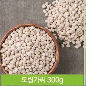 모링가열매 모링가씨 300g 천연비누 약초 비식용 (S7564337)