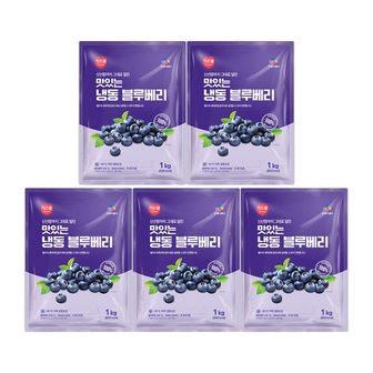  CJ프레시웨이 이츠웰 냉동블루베리1Kg x 5개