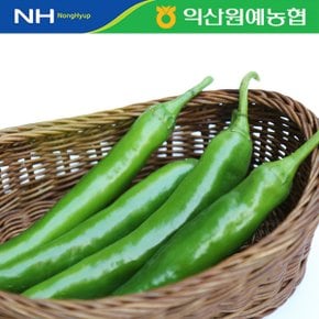 [농협] 신선 오이고추 2kg(특)