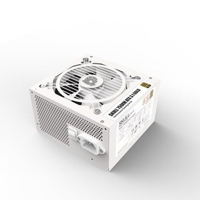 SKULL 750XM 풀모듈러 ATX3.1 80PLUS골드 화이트  재쿨