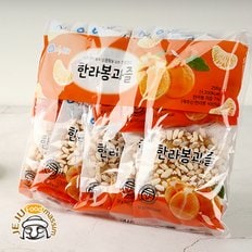 제주 한라봉과즐 256g x 3봉 (32gx8개입/봉)