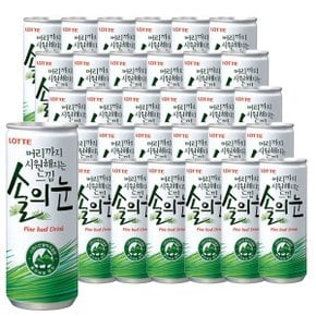 머리까지 시원해지는 느낌 솔의눈 240ml x 30캔