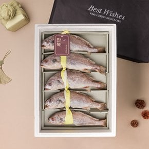 [쓱배송][냉동][국산] 만복 영광 백굴비 세트 (총 1.5kg) (300g*5미)