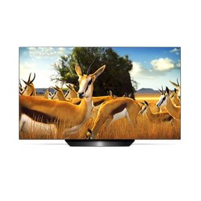 NS홈쇼핑 OLED77B9KNA 올레드TV (194cm).[29394777]