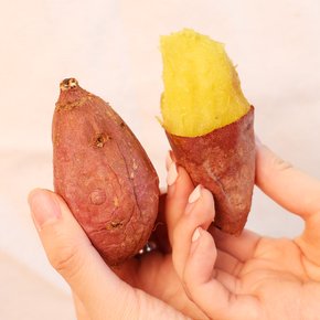 [오늘신선] 해남 산지직송 베니하루카 밤고구마 비세척 한입 3kg