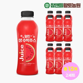 데이앤 얼린 생 수박주스 300ml x 12병