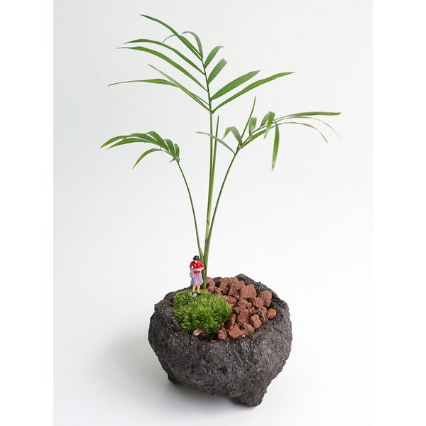 확대된 대표 Main Image
