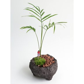 테이블 야자 미니 (Chamaedorea elegans) 사람 피규어