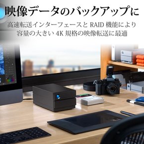 LaCie HDD 16TB 2big RAID USB-C MaciPadWindows [ ] STHJ16000800 러시 외장 하드 디스크 대응