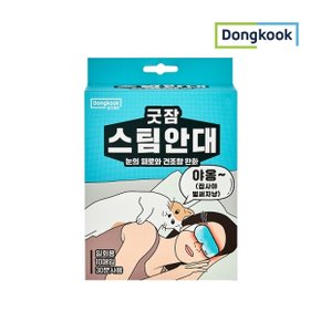 [동국]굿잠 스팀안대 10매입