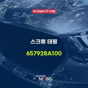 스크류 태핑 (657928A100)