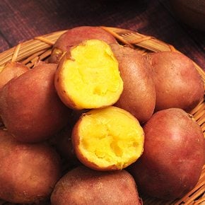 포근포근 26년산 홍감자 3kg (중)