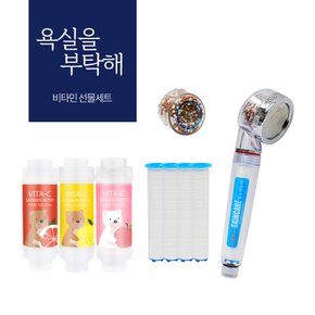 스킨케어샤워기+리필필터4개입+염소제거볼+비타민필터3종세트 - 잔류염소제거,녹물제거