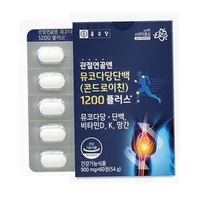 콘드로이친 소연골 뮤코다당단백 콘드로이친소연골 60정