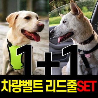 에코벨 1+1 강아지목줄 안전벨트 풀세트 블랙 M/자동리드줄 런닝줄