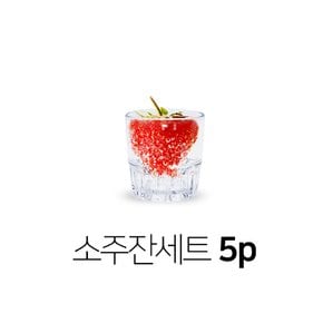 피엠 투명 유리컵 온더락 진로 언더락 커피용기 소주잔 세트 5p