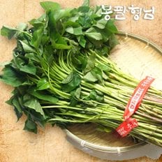 봉팔형님 꿀고구마모종 20kg 고구마줄기 신품종 해남농장