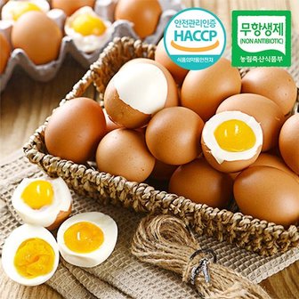 웰굿 [무항생제/HACCP]웰굿 간이배어있는 반숙계란 반숙란 30구(1판)