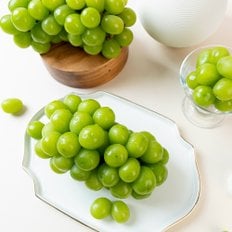 달찐과일 고당도 샤인머스켓 실속 2kg (4-5수/개당300-650g)