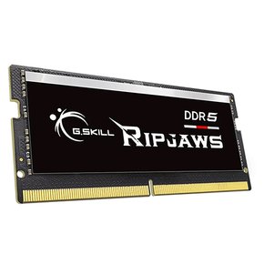 [서린공식] G.SKILL 노트북 DDR5-4800 CL40 RIPJAWS (16GB)