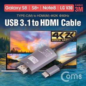 USB 3.1 컨버터 케이블 / 3M, 4K60Hz ZW368