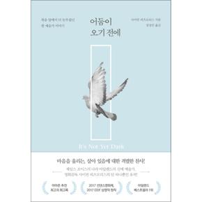 어둠이 오기 전에 : 죽음 앞에서 더 눈부셨던 한 예술가 이야기 (양장)