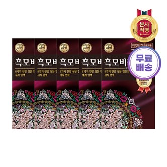 엘지생활건강 리엔 흑모비책 골드 흑갈색90G 5개