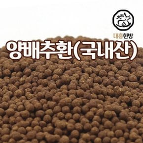 양배추환 국내산 150g