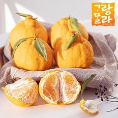 굿즈트리 [자연예서/고랑몰라] 새콤달콤 신선한 제철 과일 모음전