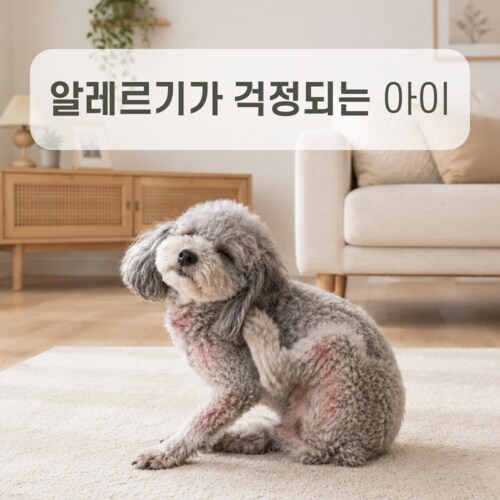 상품이미지2