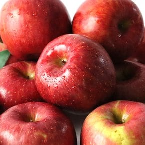 국내산 고당도 사과 아삭아삭 맛있는 꿀 사과 당일선별 공판장직송 가정용