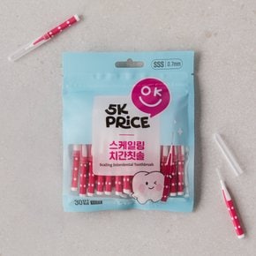 스케일링 치간칫솔 30입