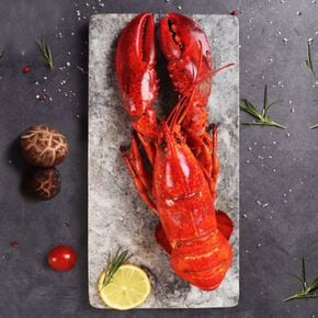 간편한 홈파티 자숙 냉동 랍스터 1마리 (400-450g 내외)..[30979210]