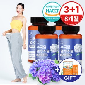 [건강머금] 수국잎 열수 추출물 수국 프리미엄 정 3+1병(8개월분) +비타씨