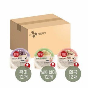 햇반 흑미밥 210g x12개+발아현미밥 210g x12개+잡곡밥 210g x12개