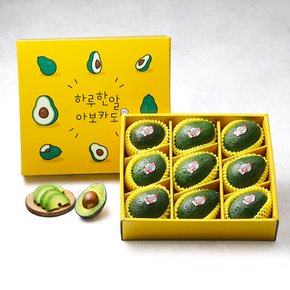 숲속의 버터 하루한알  아보카도 대과 9과 (2kg)
