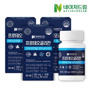 프로테오글리칸 연어코연골 콘드로이친 500mg 30정 3박스