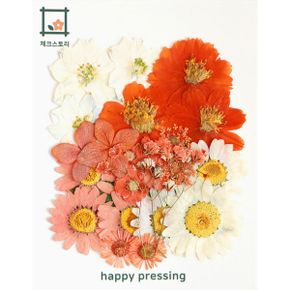 압화 꽃모음 - A타입 오렌지향기 꽃모음