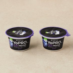 다논 YoPRO 블루베리 프로틴 150g*2