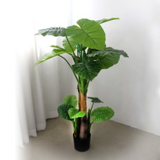 인조나무 조화 화분 2단 알로카시아 120cm (17잎)