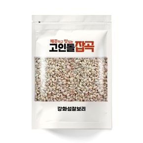 H고인돌잡곡 찰보리500g 햇찰보리쌀 강화산