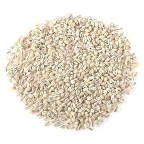 26년산 더알찬곡물 국산 늘보리 1kg 1봉 잡곡