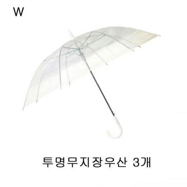 확대된 대표 이미지1