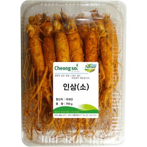 인삼 (소) 750g