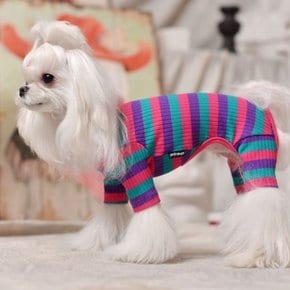 강아지 티셔츠 골지올인원 레인보우 강아지옷