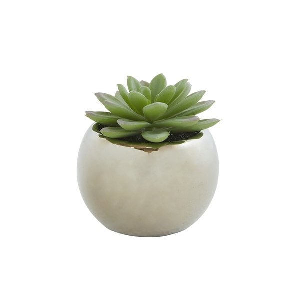 그리니 미니다육팟 (옵션 택1)