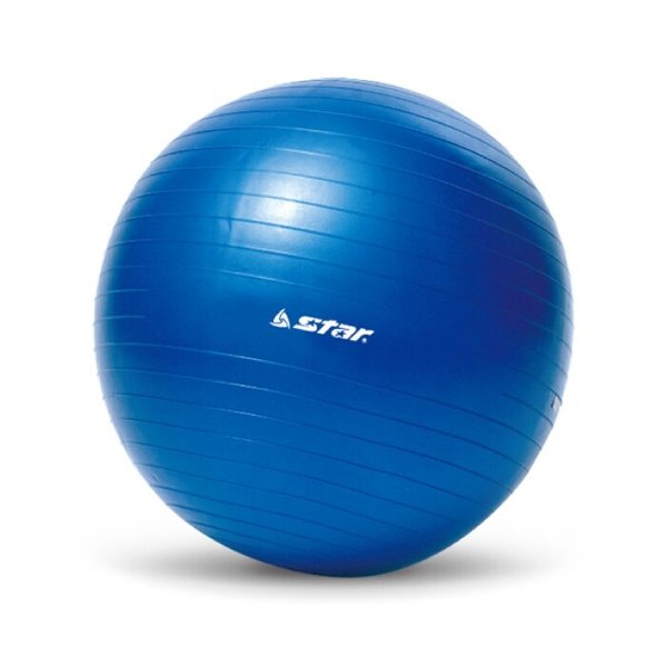 스타 미니 짐볼 블루 EB210-07